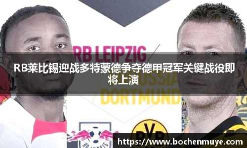 333体育官网
