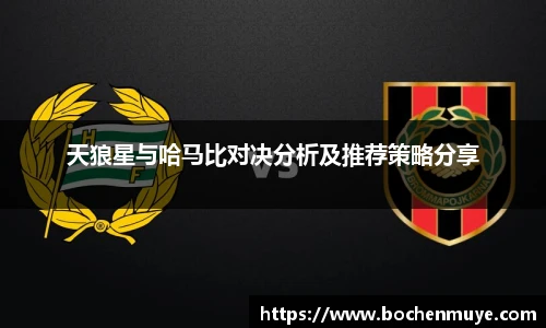 333体育官网